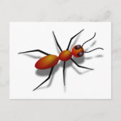 Big Red Ant Briefkaart (Voorkant)