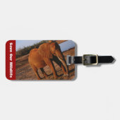 Big Red Bagagelabel (Voorkant horizontaal)