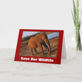Big Red bespaart ons Wenskaart in het wild Kaart