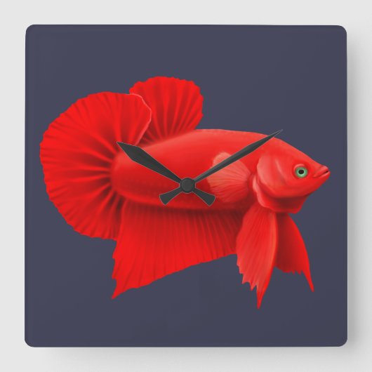 Big Red Betta Fish Plakat Wall klok (Voorkant)