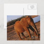 Big Red Briefkaart (Voorkant / Achterkant)