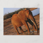 Big Red Briefkaart (Voorkant)