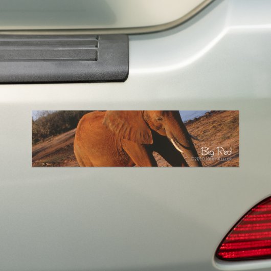 Big Red Bumpersticker (Op auto)