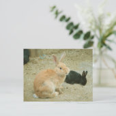 Big Red Bunny Briefkaart (Staand voorkant)