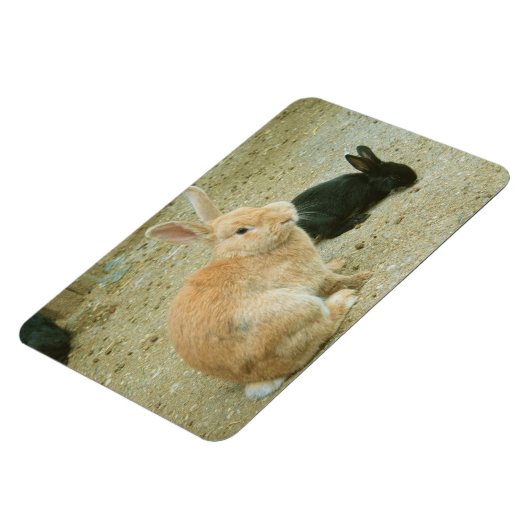 Big Red Bunny Magneet (Linkerzijde)