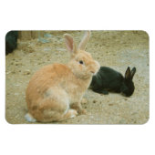 Big Red Bunny Magneet (Horizontaal)