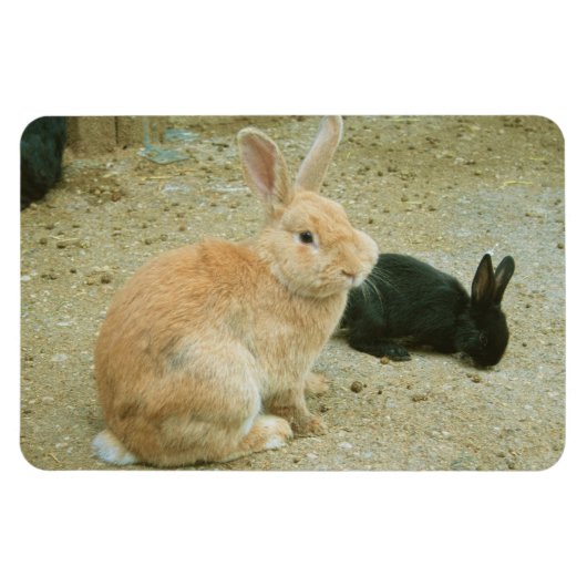 Big Red Bunny Magneet (Horizontaal)