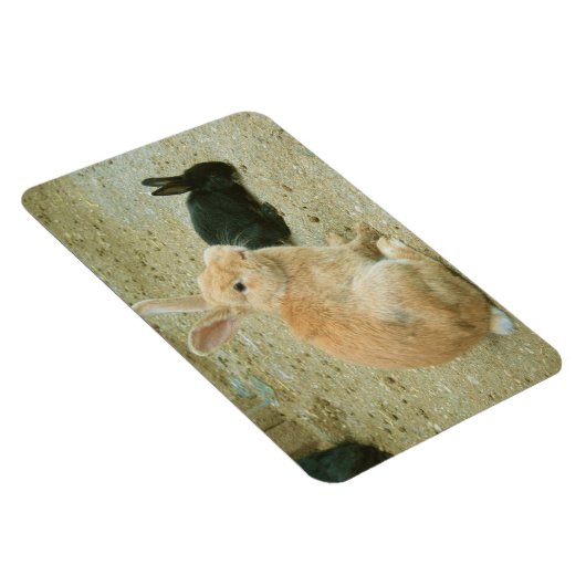 Big Red Bunny Magneet (Rechterzijde)