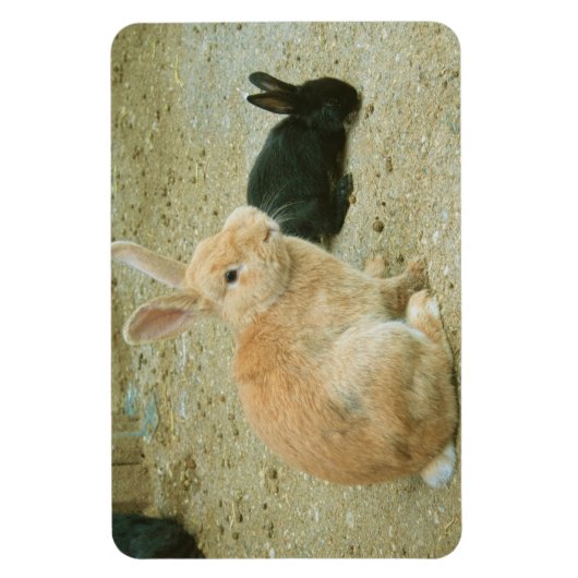 Big Red Bunny Magneet (Verticaal)