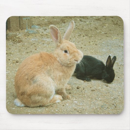 Big Red Bunny Muismat (Voorkant)