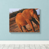 Big Red Canvas Afdruk (Insitu (Houten vloer))