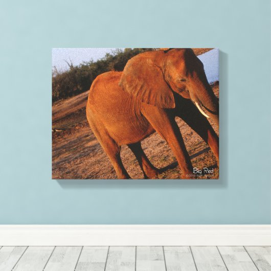 Big Red Canvas Afdruk (Insitu (Houten vloer))