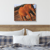 Big Red Canvas Afdruk (Insitu (Slaapkamer))