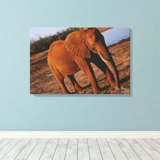 Big Red Canvas Afdruk (Insitu (Houten vloer))