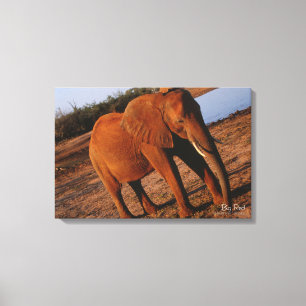 Big Red Canvas Afdruk