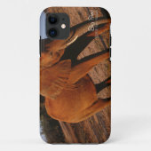 Big Red Case-Mate iPhone Case (Achterkant)