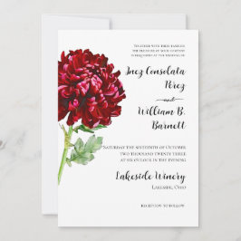 Big Red Chrysanthemum Kaart