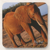 Big Red Drankjes Onderzetter (Voorkant)