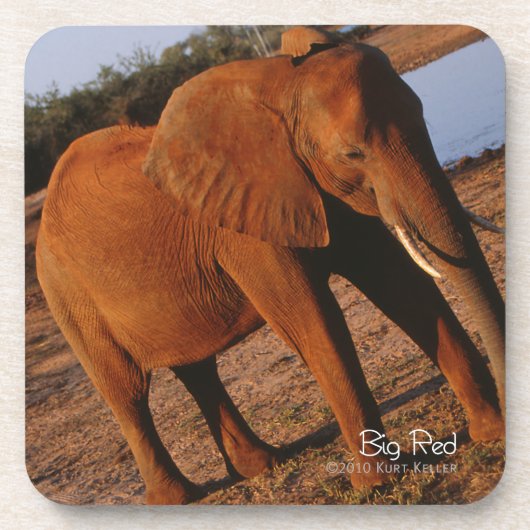 Big Red Drankjes Onderzetter (Voorkant)