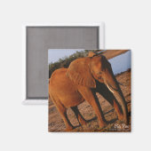 Big Red Elephant Magnet (Voorkant / Achterkant)