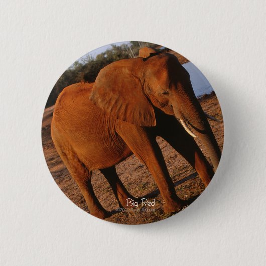 Big Red Elephant Ronde Button 5,7 Cm (Voorkant)