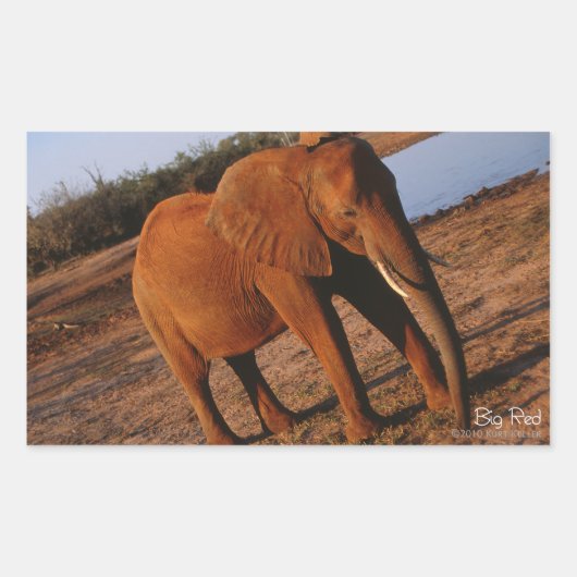 Big Red Elephant Stickers (Voorkant)