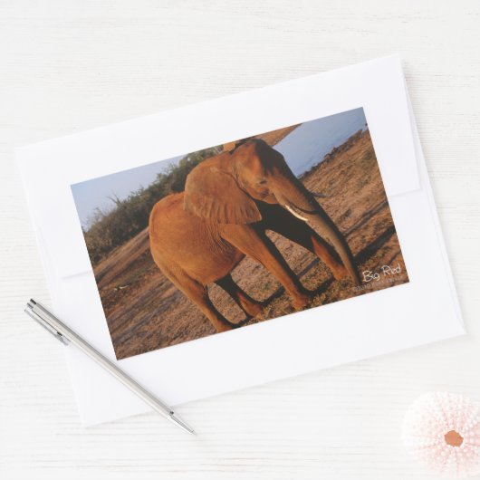 Big Red Elephant Stickers (Envelop)