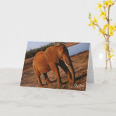 Big Red Elephant Wenskaart Kaart (Gele Bloem)