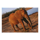 Big Red Foto Afdruk (Voorkant)