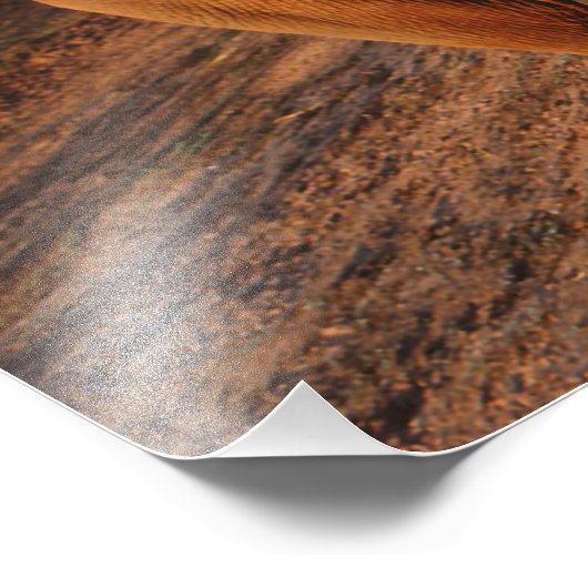 Big Red Foto Afdruk (Hoek)