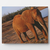 Big Red Fotoplaat (Voorkant)