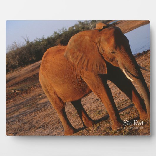 Big Red Fotoplaat (Voorkant)