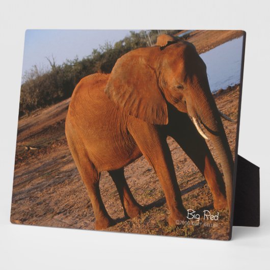 Big Red Fotoplaat (Zijkant)