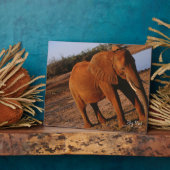 Big Red Fotoplaat (Zijkant)