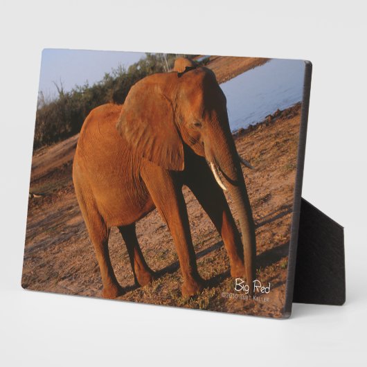 Big Red Fotoplaat (Zijkant)