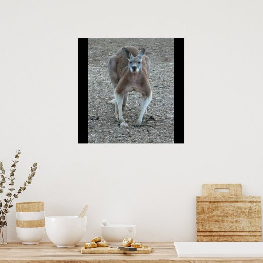 Big Red Kangaroo Print (Keuken)