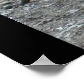 Big Red Kangaroo Print (Hoek)