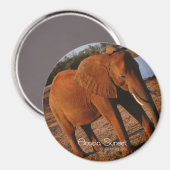 Big Red Magneet (Voorkant / Achterkant)