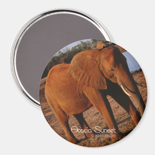 Big Red Magneet (Voorkant / Achterkant)