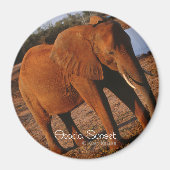 Big Red Magneet (Voorkant)