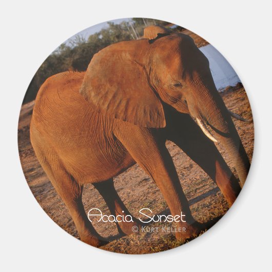 Big Red Magneet (Voorkant)