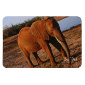 Big Red Magneet (Horizontaal)