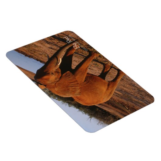 Big Red Magneet (Rechterzijde)