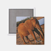 Big Red Magneet (Voorkant / Achterkant)