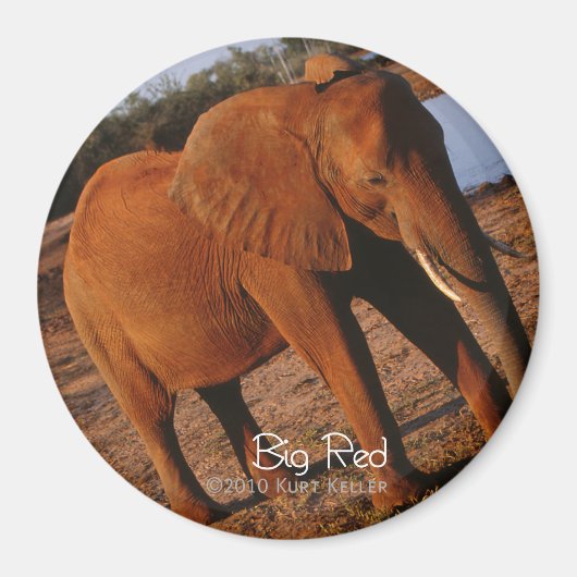 Big Red Magneet (Voorkant)