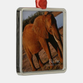 Big Red Metalen Ornament (Rechts)