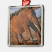 Big Red Metalen Ornament (Links)