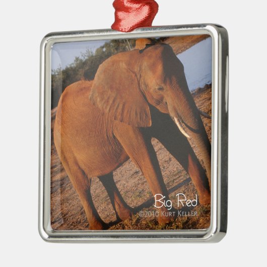Big Red Metalen Ornament (Links)