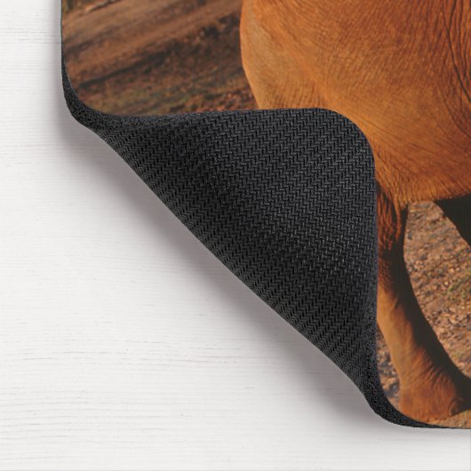 Big Red Muismat (Hoek)