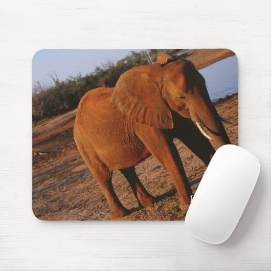 Big Red Muismat (Met muis)